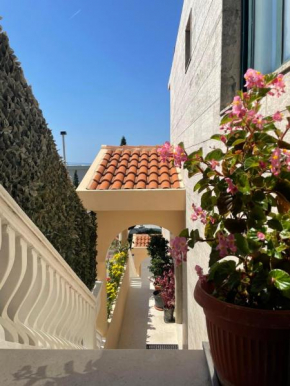 ALBA apartments